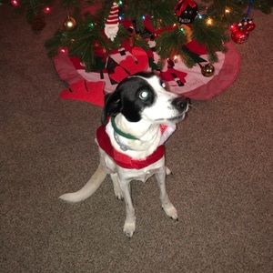 Meet your Posher, Michaella